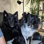 Suzanne Bosch - @suzanne1311 - Instagram