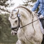 Suzanne De Poorter-van Den Bosch - @suzanne_de_poorter - Instagram