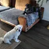 Suzanne Den Bosch - @sandravandenbosch3 - TikTok