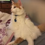 Suzanne Bourassa - @suzyq_2_u - Instagram