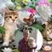 Suzanne Bourassa - Facebook