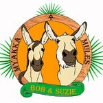 suzanne bowles - @myakka_mules12 - Instagram