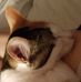 Suzanne Bowles - Facebook