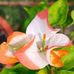 Suzanne Holladay Braddock - Facebook