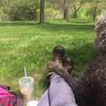 Suzanne Bradley - @suzannebradley.yes - Instagram