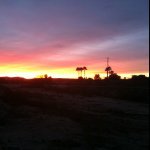 Suzanne Bradley - @goodthymes - Instagram