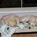 Suzanne Bradley - Facebook