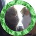 Suzanne Bradley - Facebook