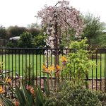 Suzanne Bradley - @suzannebradley6453 - Instagram