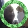 suzannebradley35 - @suzannebradley35 - TikTok