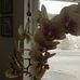 Suzanne Brick - Facebook