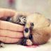 Suzanne Brick - Facebook