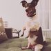 Suzanne Brinkman - Facebook