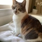 Suzanne Brough - @sooz617 - Instagram