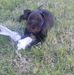 Suzanne Broughton - Facebook
