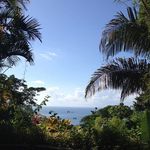 Suzanne Broussard - @suzanne.broussard.9 - Instagram