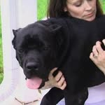 Suzanne Sharkey Bucher - @suzannesharkeybucher - Instagram