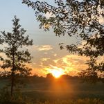 Suzanne Buckingham-Jarvis - @lemontreeholistic - Instagram