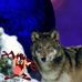 Suzanne Byron - Facebook