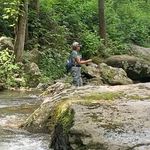 Suzanne Powchik Cagle - @suzcagle - Instagram