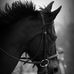 Suzanne Calley - Facebook