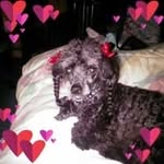 Suzanne Callahan Petersen - @petersen_suzanne - Instagram