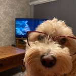 Suzanne Calvert - @suecalvert2111 - Instagram