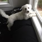 Suzanne Caputo - @caputo.suzanne - Instagram