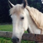 Suzanne - @suzannecase - Instagram