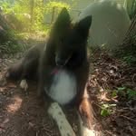 Suzanne Chandler - @suzanne.chandler.54 - Instagram