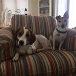 Suzanne Chaney Havasy - @suzannechaneyhavasy - Instagram