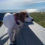Suzanne Chaney Havasy - @suzannehavasy - Instagram