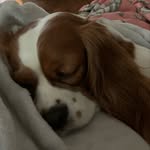 Suzanne Chowdhury - @suzannechowdhury - Instagram
