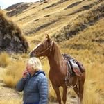 Suzanne Claire Cook - @suzanneclairecook - Instagram