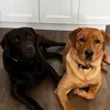 suzannentomclancy8 - @suzannentomclancy8 - TikTok