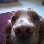Suzanne Gardner Clements - @suzanne.g.clements - Instagram