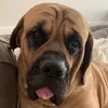 Suzanne Cline - @suzanne.cline - TikTok