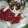 Suzanne Cody Adams - @suzanne.cody.adam - TikTok