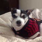 Armani - @colwellsuzanne - Instagram