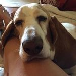 Suzanne Colwell - @2minnies - Instagram