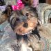 Suzanne Colwell - Facebook