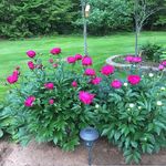 Suzanne Colwell - @colwell0668 - Instagram