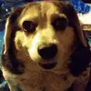 Susan - @suzanneconklin - TikTok