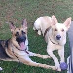 Suzanne Conklin - @conklin_suzanne - Instagram