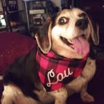 Suzanne Gregory Conklin - @susansonedream - Instagram