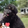 suzanneconklin7 - @suzanneconklin7 - TikTok