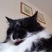 Suzanne Cope - Facebook