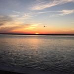 Suzanne Turcich-Corcoran - @sfccorc - Instagram