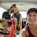 Suzanne Cornelius Clark - @suze324 - Instagram