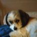 Suzanne Coutre - Facebook